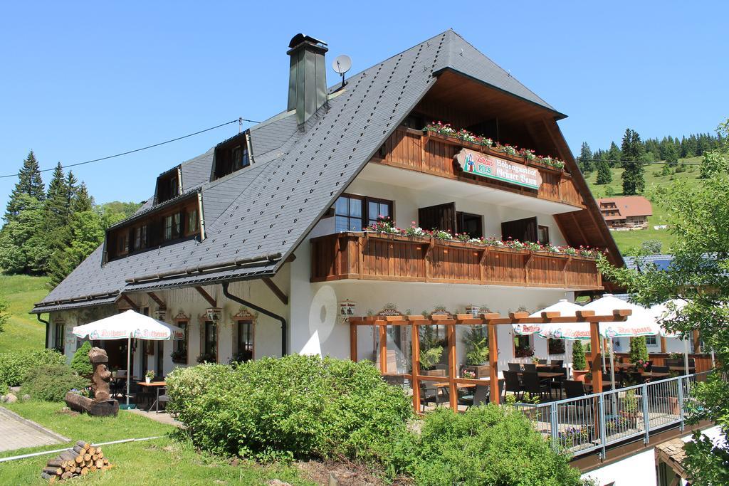 Hotel & Restaurant Gruner Baum - Die Grune Oase Am Feldberg Feldberg  Exterior foto