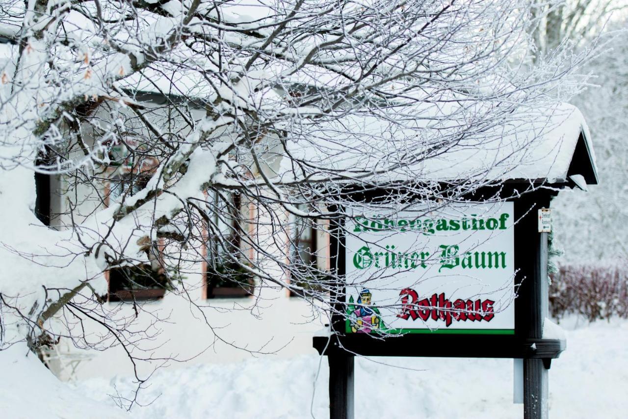 Hotel & Restaurant Gruner Baum - Die Grune Oase Am Feldberg Feldberg  Exterior foto